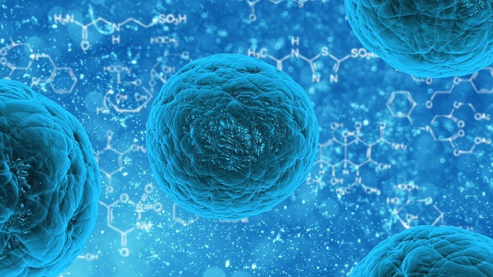 what is scanbalt bioregion
