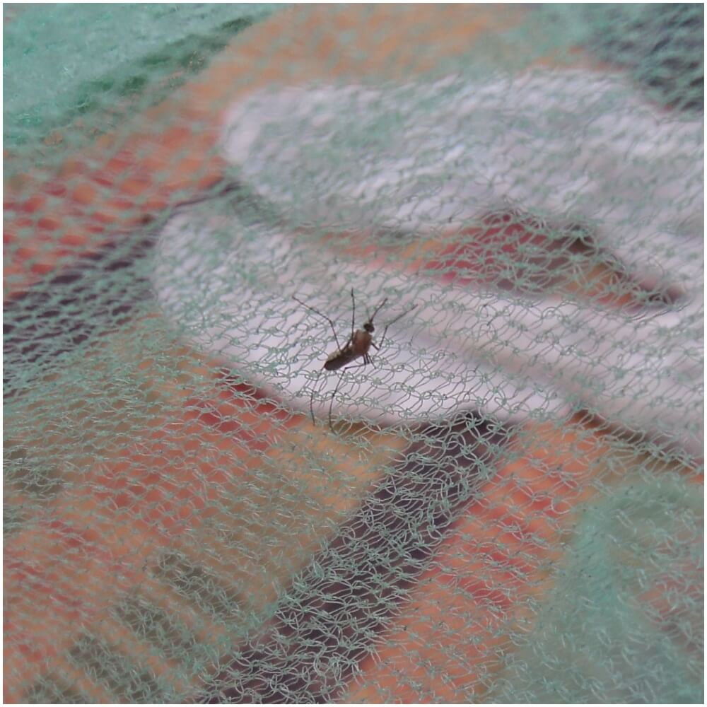 Mosquito net