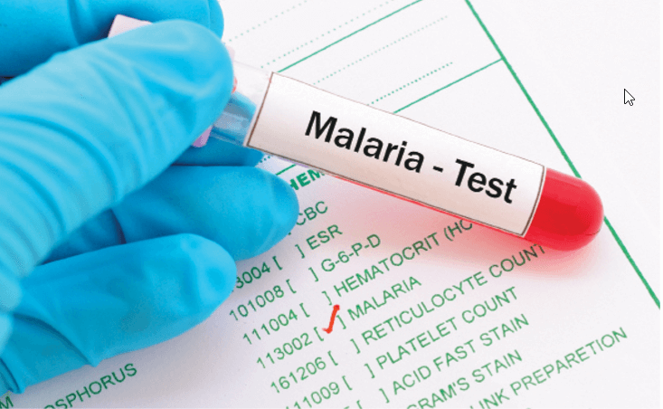 eradication program against malaria in Odisha malaria control