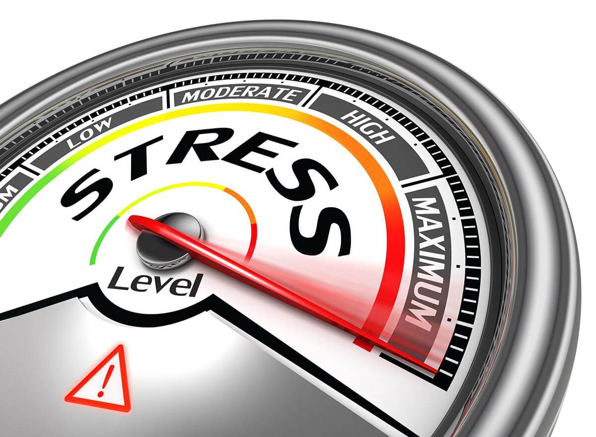 fertility diet stress recipe