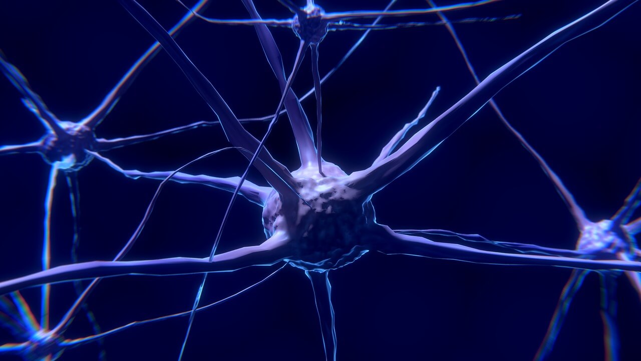 neural activity