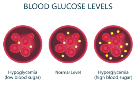 non obese and lean indian also prone to type 2 diabetes