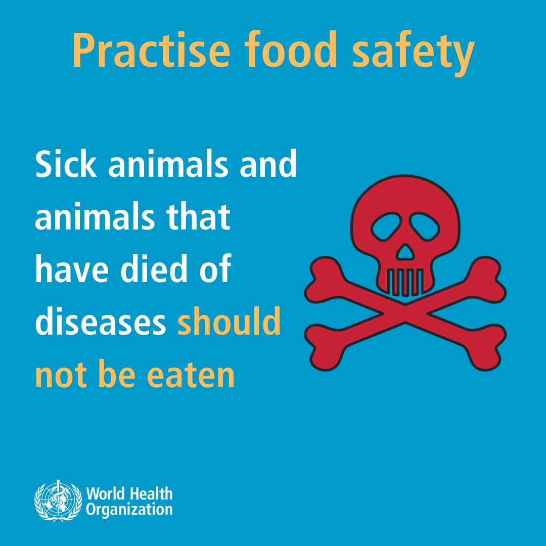 Coronavirus - Practice food safety-2