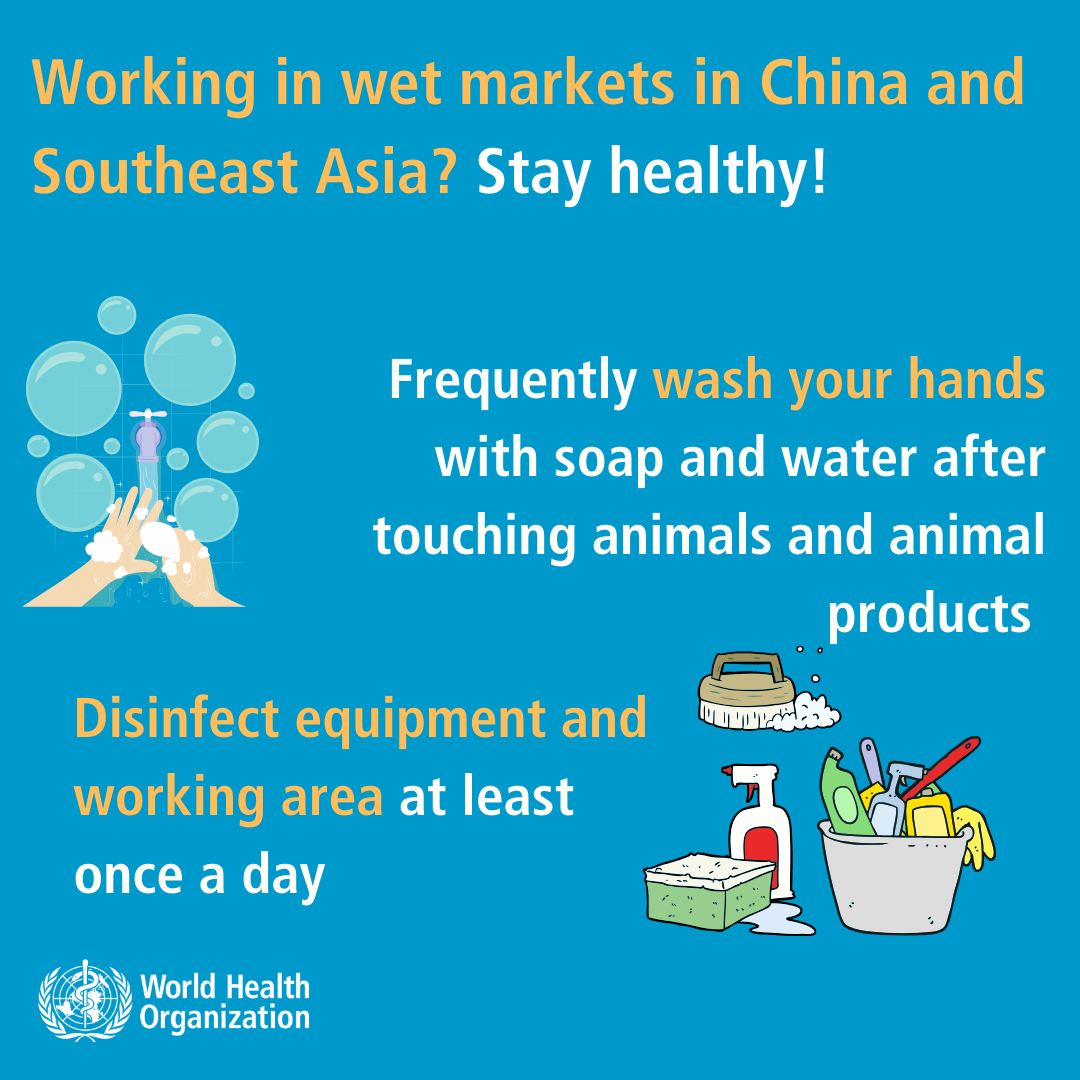 Coronavirus - Shopping in wet markets in China and South east Asia--3