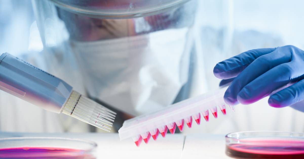 Recent pandemic situation and its effects
