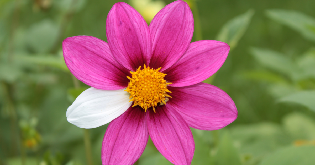 Rare Health Reforms that rejuvenate the fighting back spirits (2)
