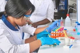 ‘54GENE’ – the most innovative startup of Africa
