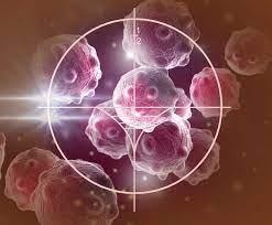 Study suggests cancer cells may evade chemotherapy by going dormant