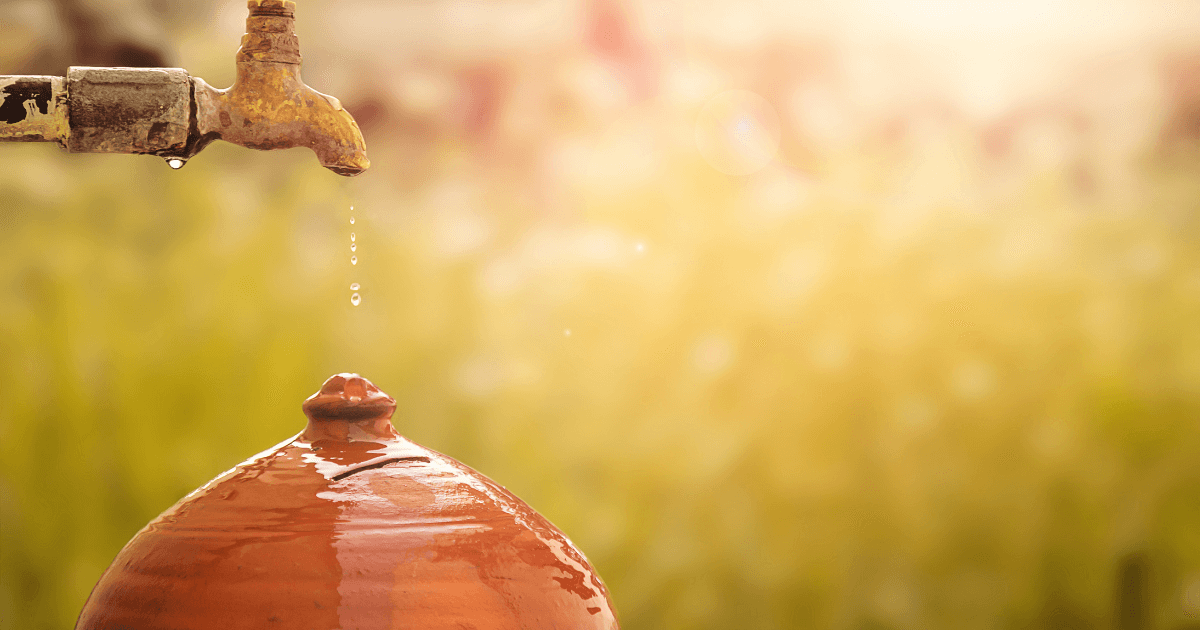 The Ecosystem Restoration Process Water