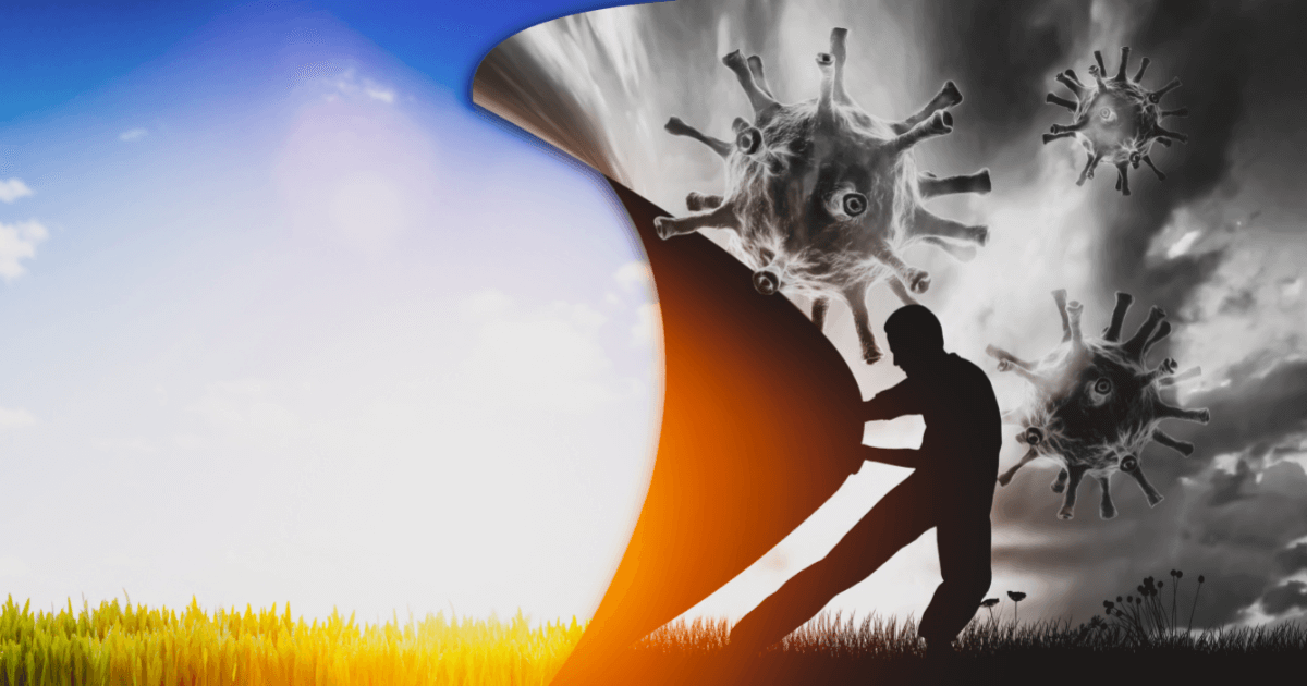The journey of striving through the COVID (1)
