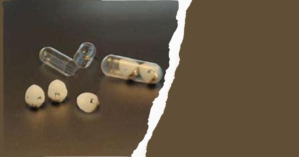 Tunneling capsule to enable oral insulin intake