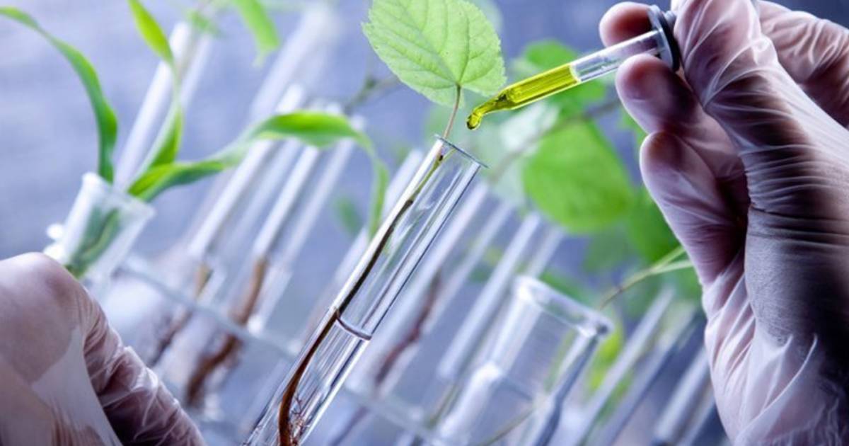 IISF 2022-Startup Conclave to focus on Biotech Innovation Ecosystem