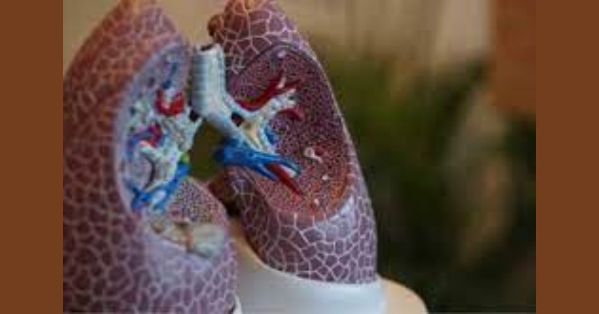 A Tiny Robot To Maneuver Through Living Lung Tissue