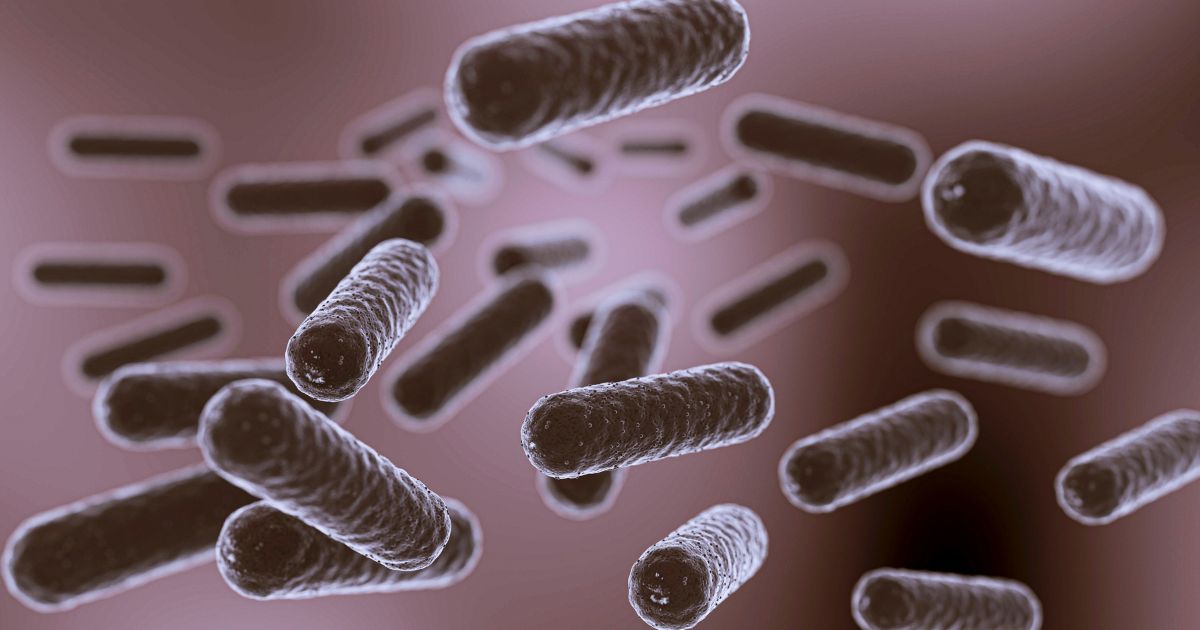 Role of Microbiota in Gastrointestinal Cancer Development and Treatment