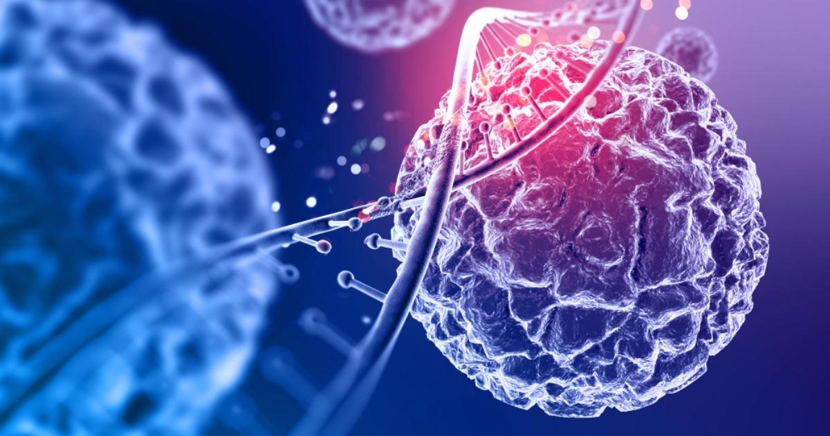 Understanding mRNA Vaccines: How Do They Work?